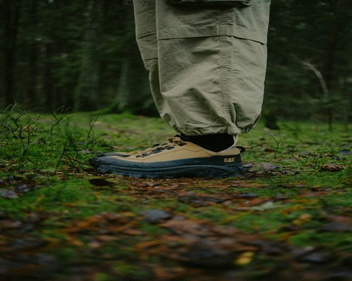 Comfortable walking sneakers on a quiet nature path