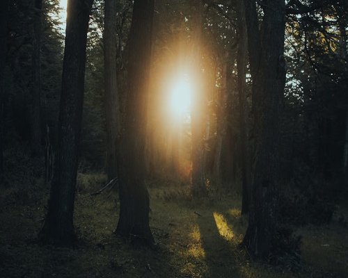 Woman taking a deep breath in a green forest environment